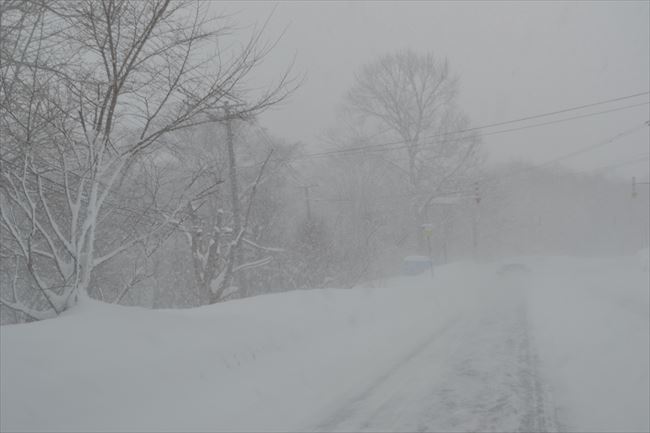 北海道の地吹雪