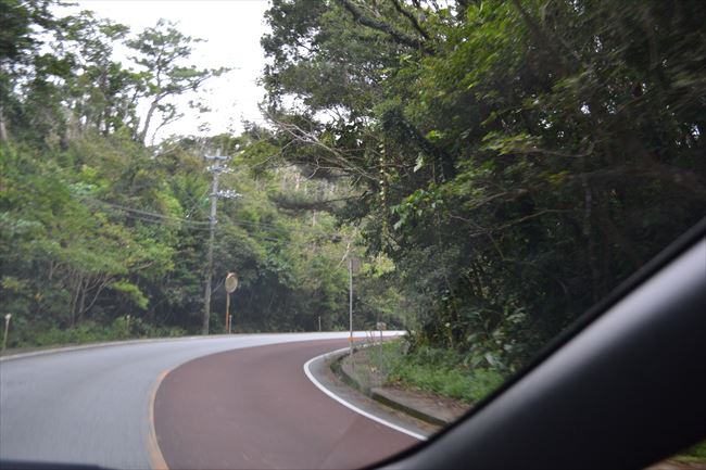 山道・峠道