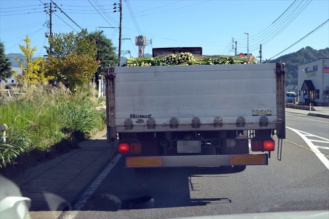 野菜を搭載